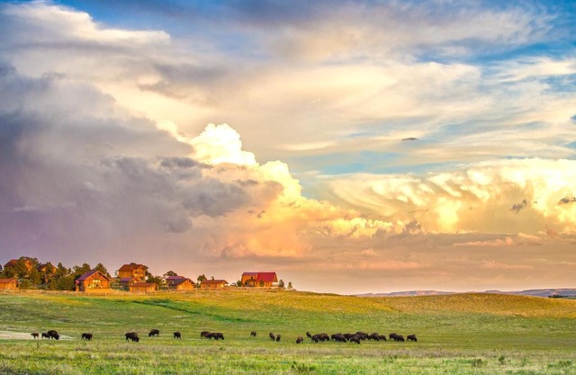 Zion Mountain Ranch 