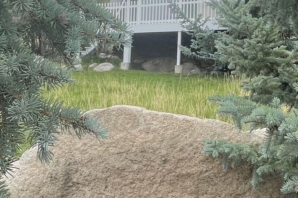 Photo of Others in Pine Valley