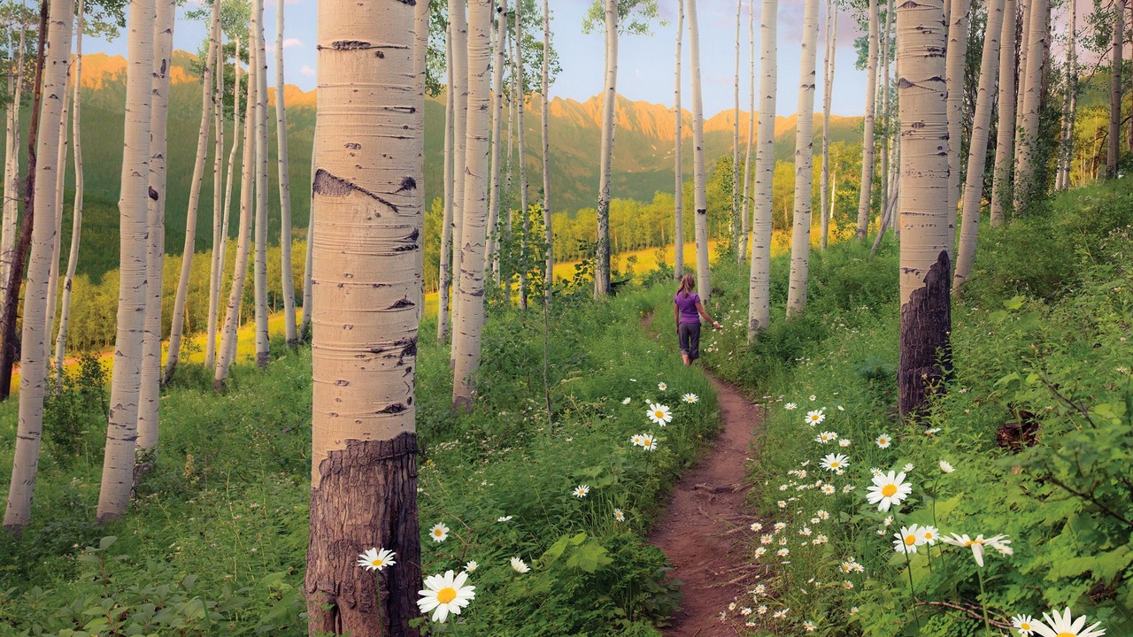 Photo of Others in Vail