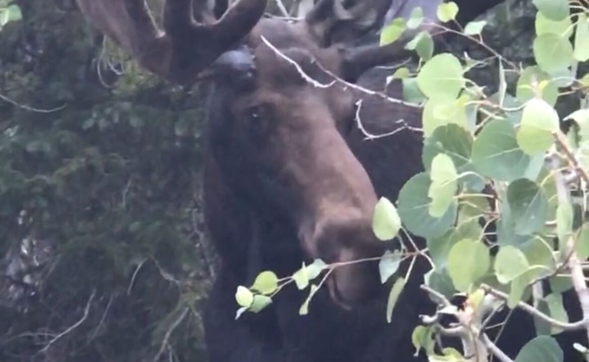 Photo of Outdoor in Black Hawk