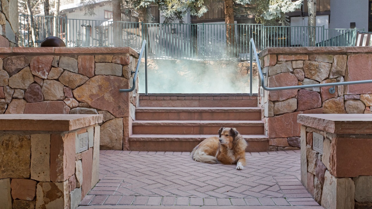 Photo of Others in Vail