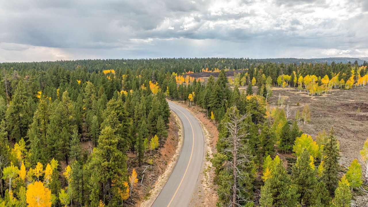 Photo of Outdoor in Mammoth Creek