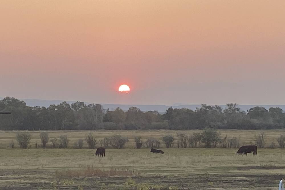 Photo of Others in Neola