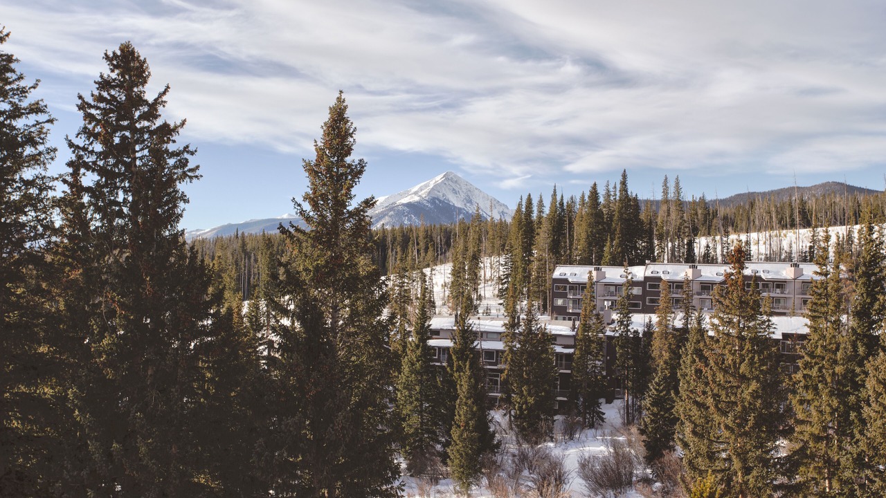 Photo of Outdoor in Wildernest