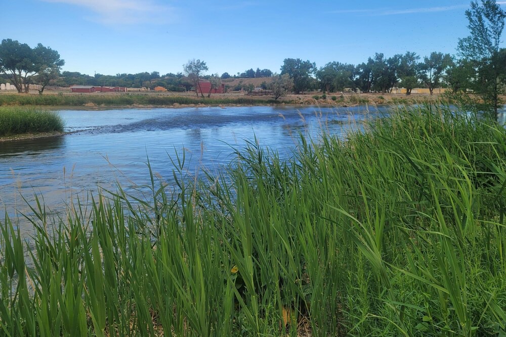 Photo of Outdoor in Delta