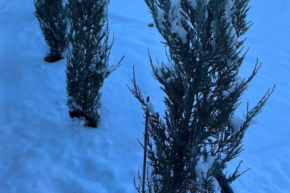 Photo of Outdoor in Cottonwood Heights