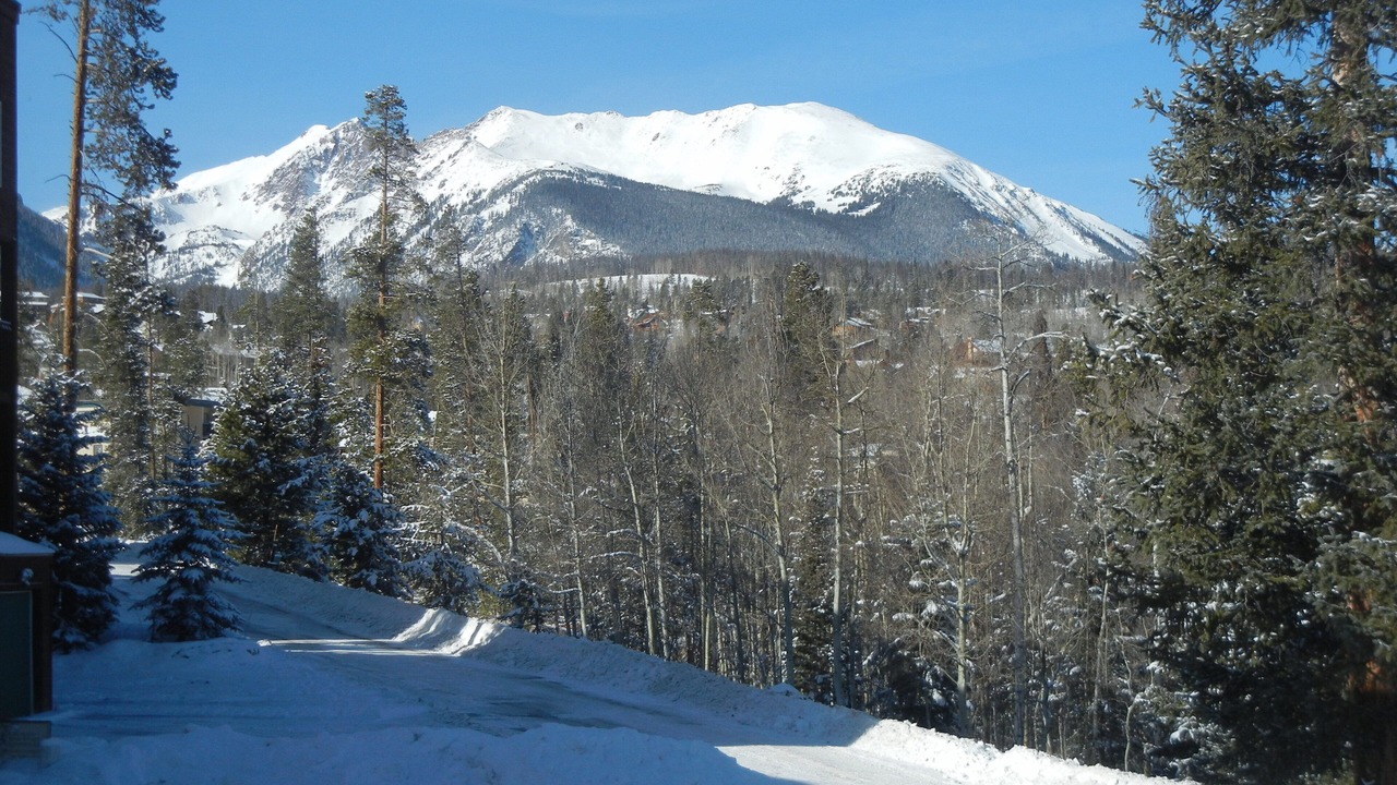 Photo of Outdoor in Wildernest