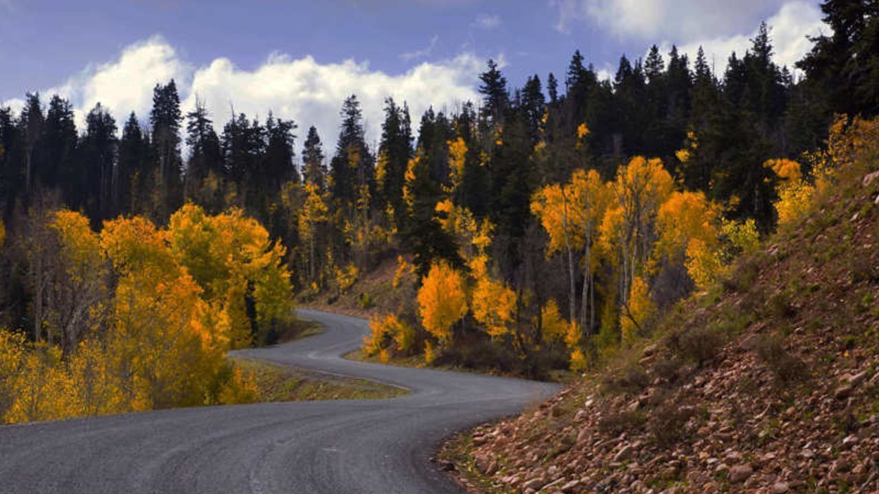 Photo of Others in Payson