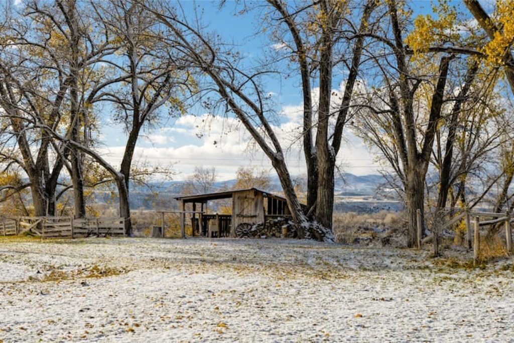 Photo of Others in Glenwood Springs