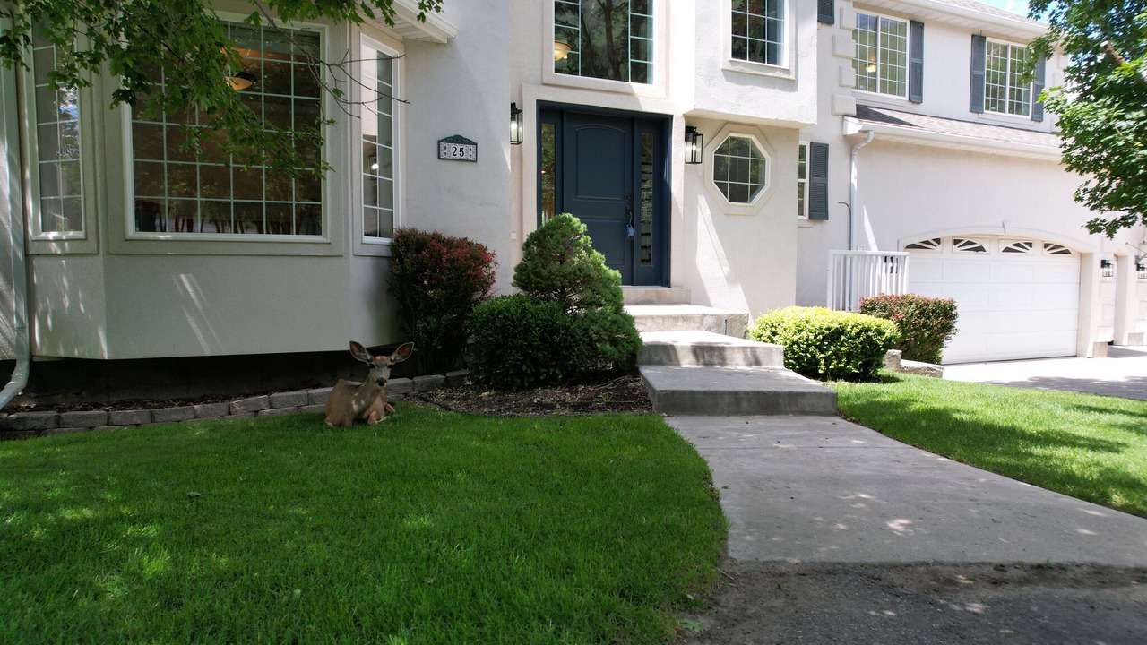 Photo of Outdoor in Woodland Hills