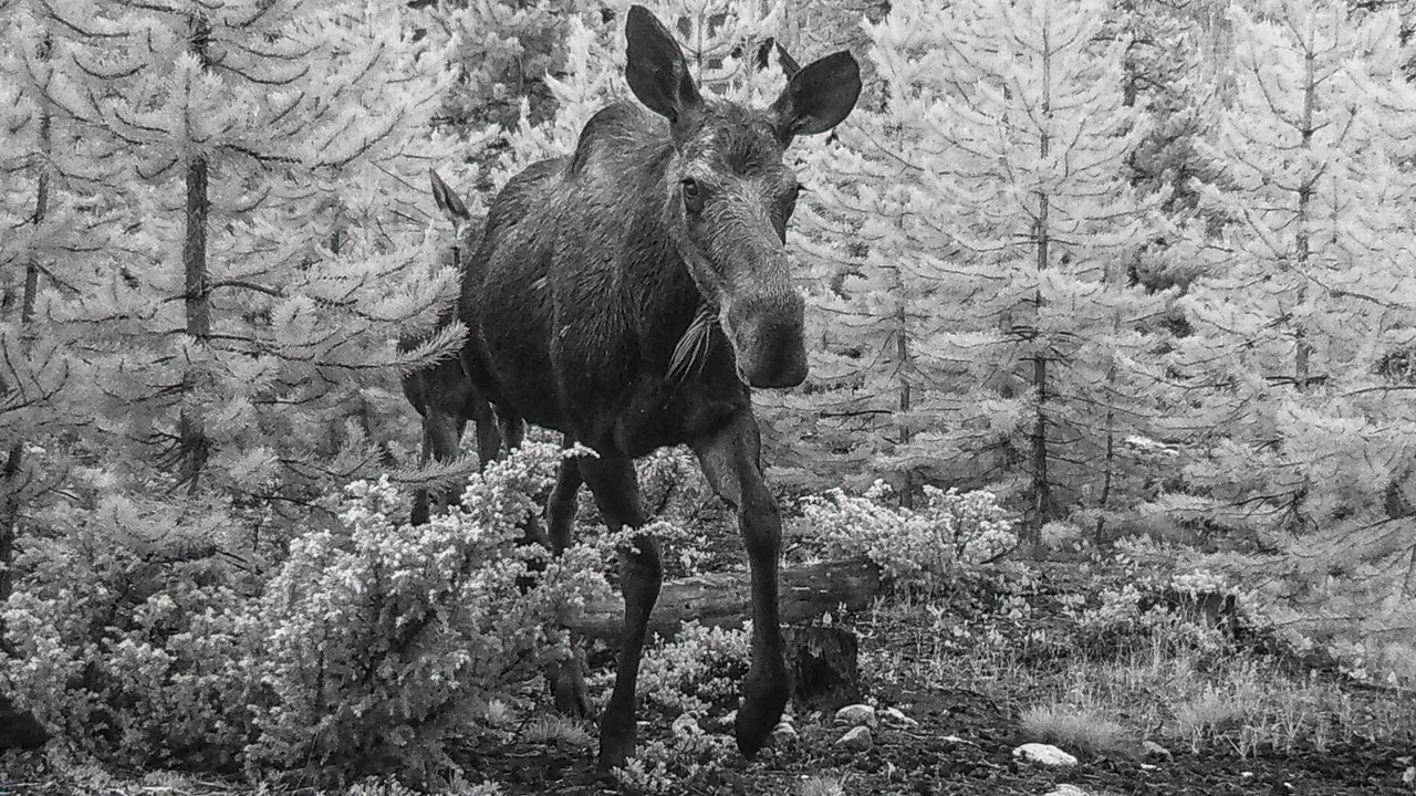 Photo of Others in Grand Lake