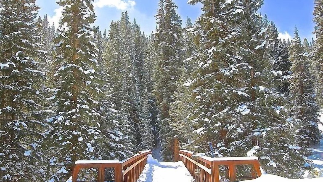 Photo of Others in Copper Mountain Village