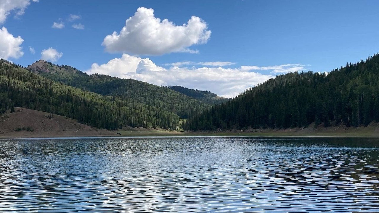 Photo of Others in Beaver