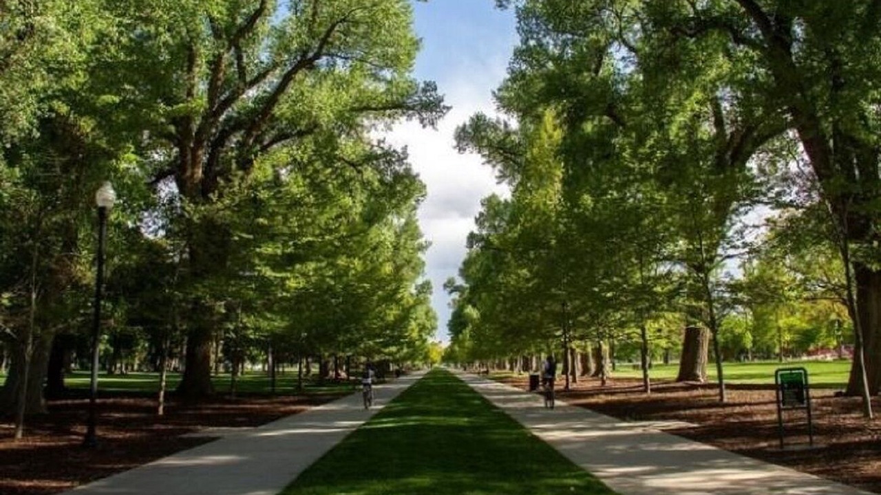 Photo of Outdoor in East Central