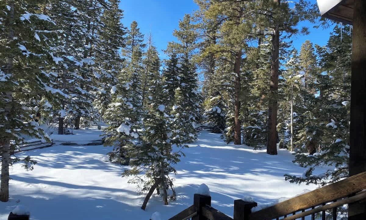 Photo of Others in Duck Creek Village