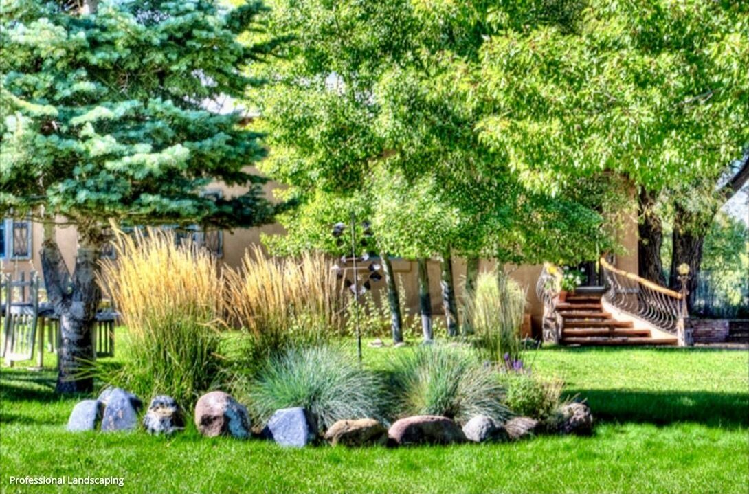 Photo of Outdoor in La Veta