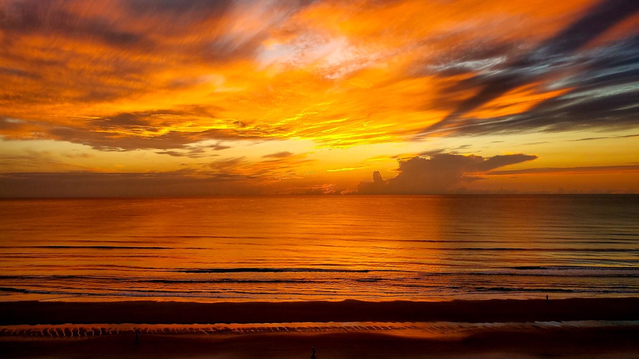 Photo of Others in Daytona Beach Shores