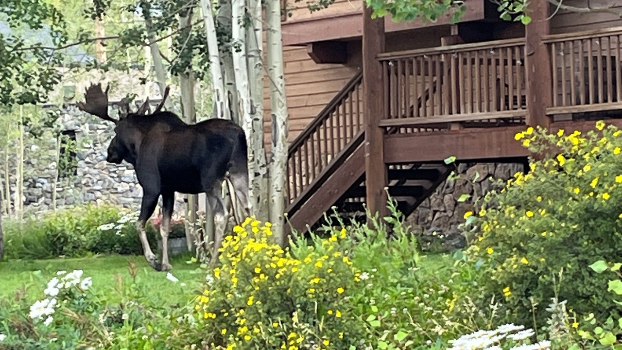 Photo of Outdoor in Christie Heights