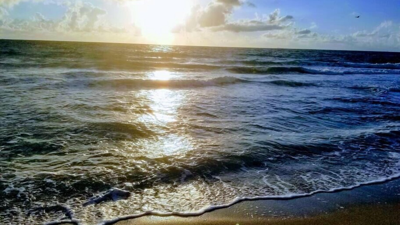 Photo of Others in Central Fort Lauderdale