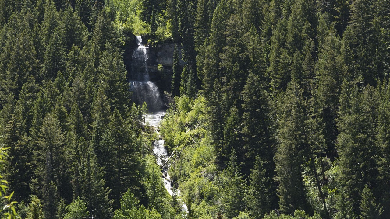 Photo of Others in Vail
