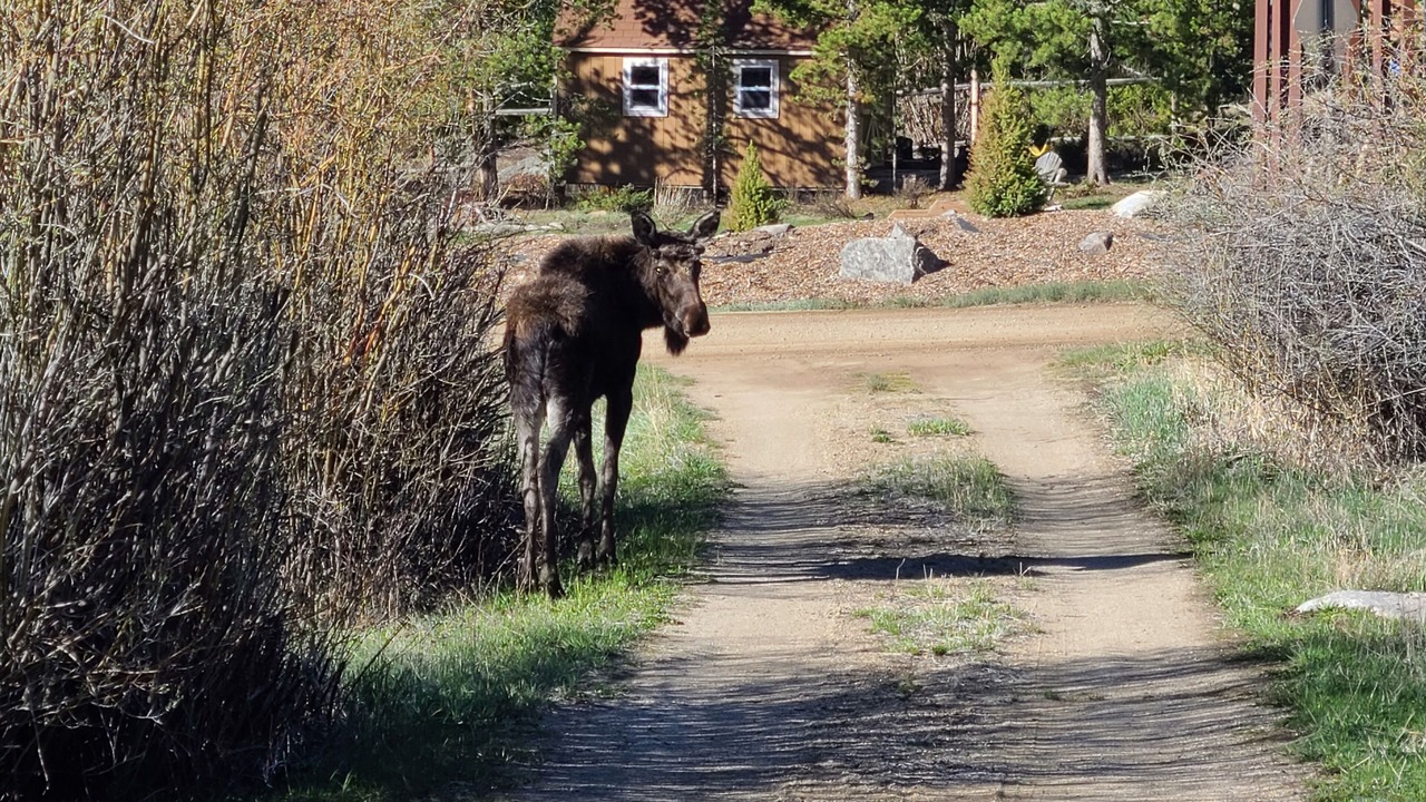 Photo of Others in Grand Lake