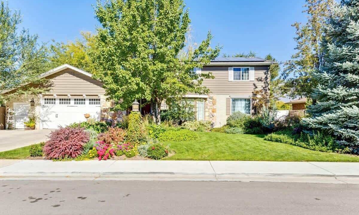 Photo of Others in Orem