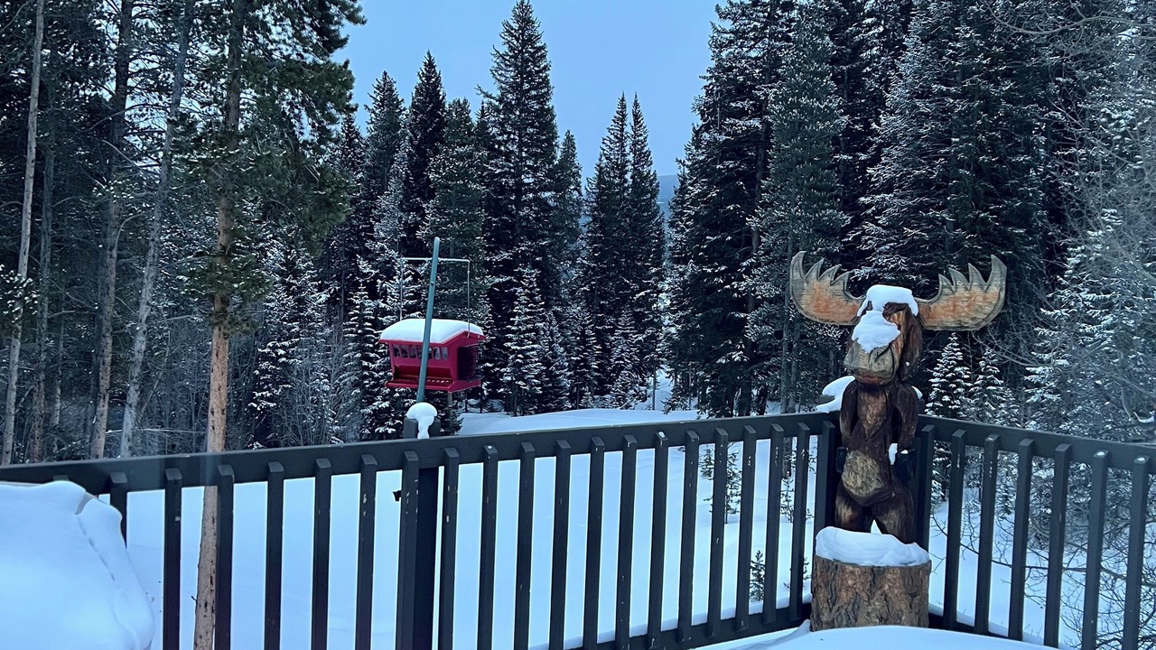 Photo of Outdoor in Park Forest Estates
