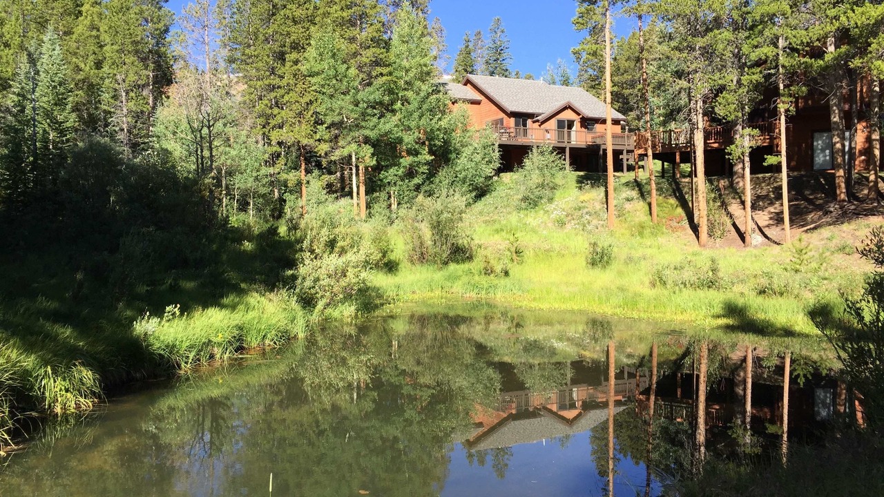 Photo of Outdoor in Park Forest Estates
