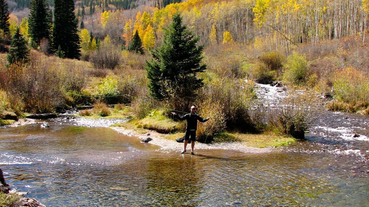 Photo of Others in Snowmass Village