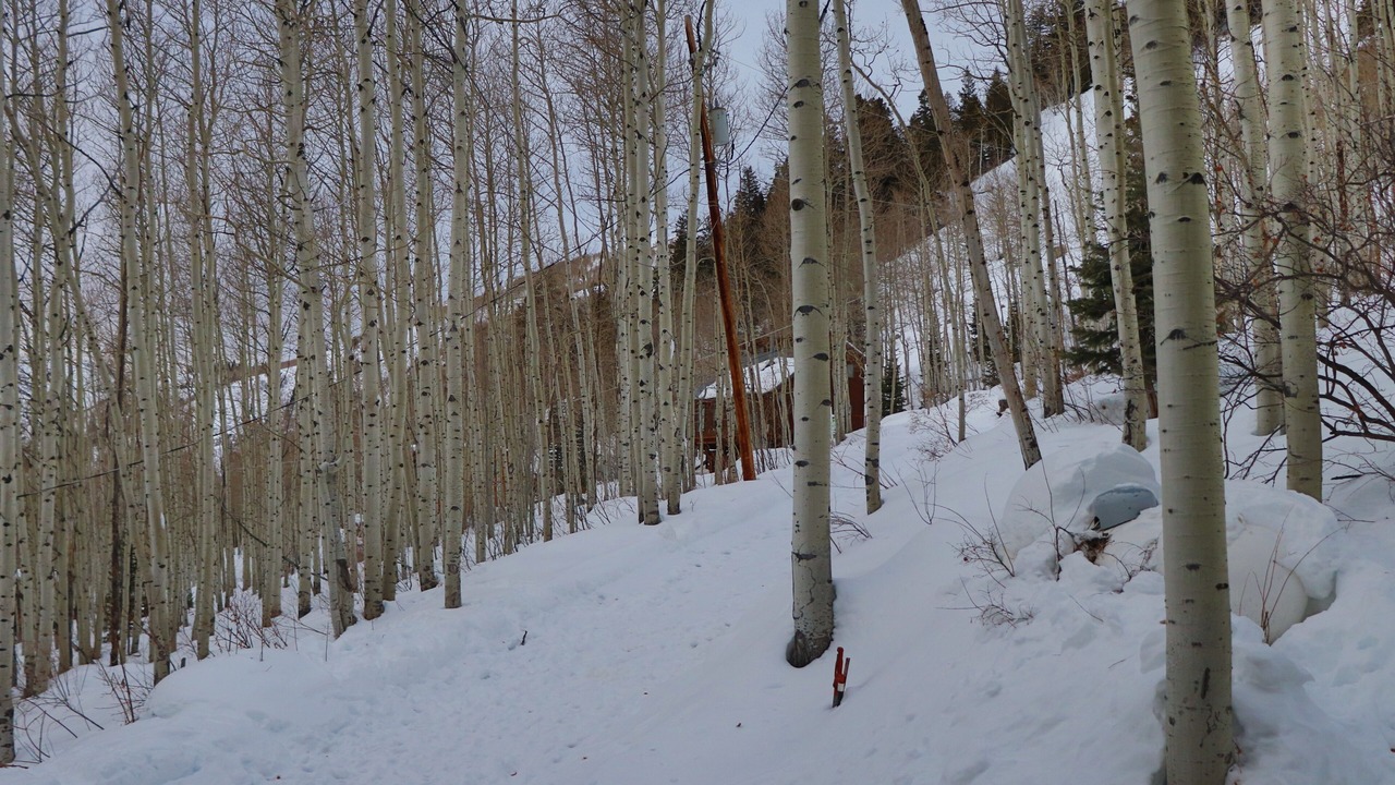 Photo of Others in Salt Lake Mountain Resorts