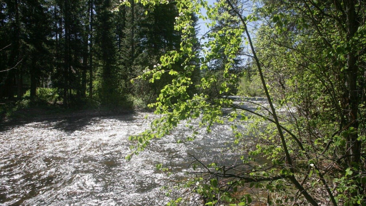 Photo of Others in Vail
