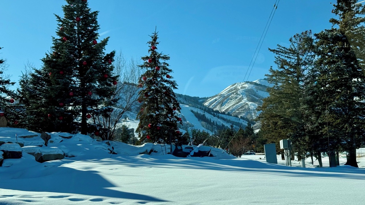 Photo of Others in North Park City