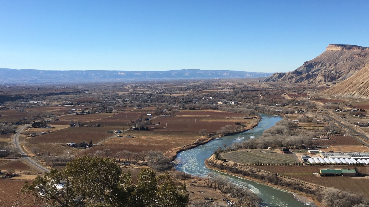 Photo of Others in Palisade