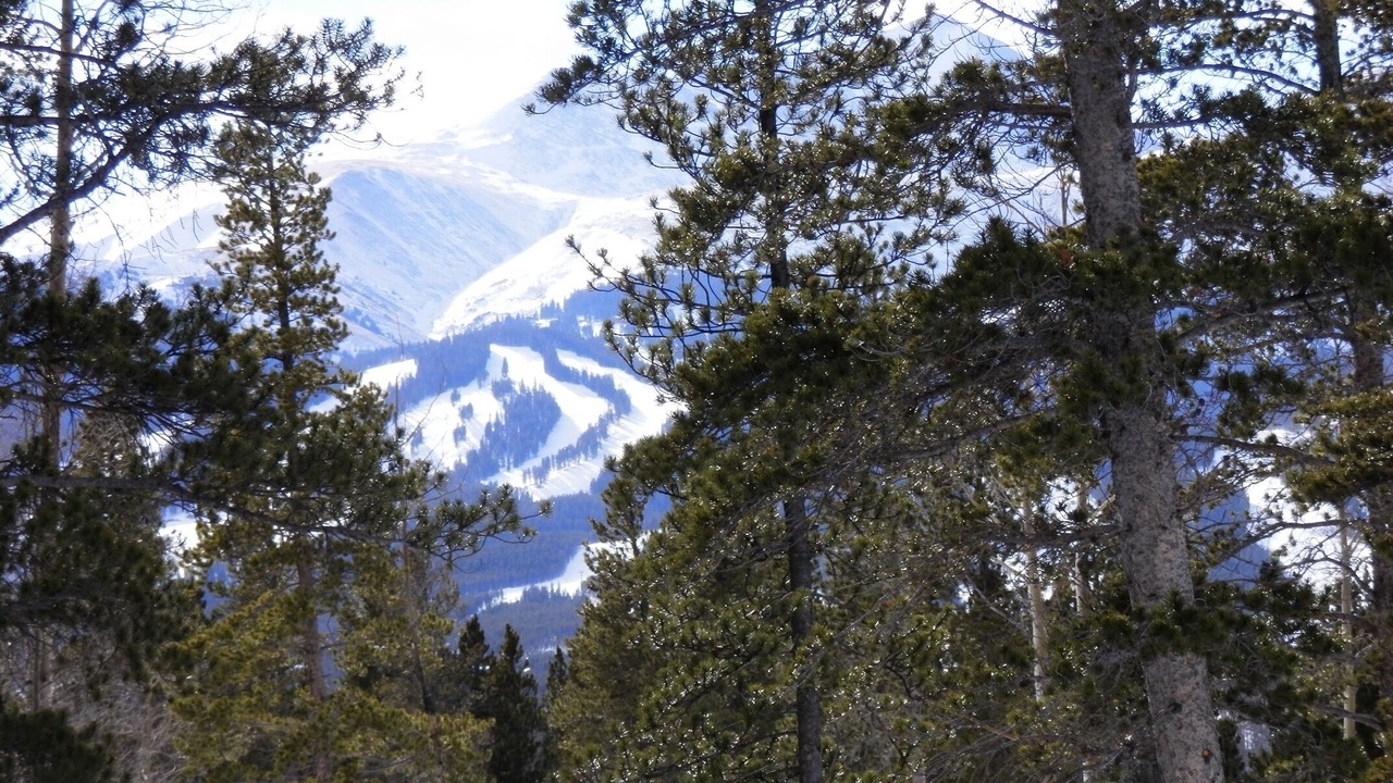 Photo of Others in The Highlands