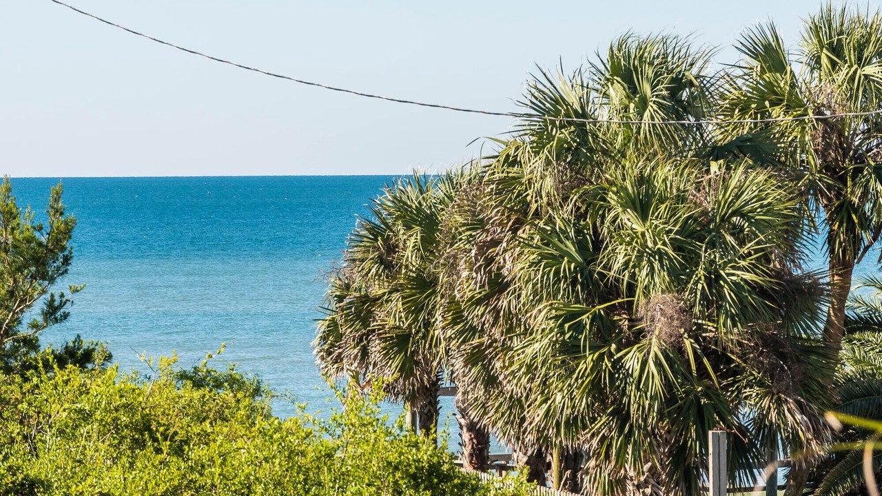 Photo of Others in Inlet Beach
