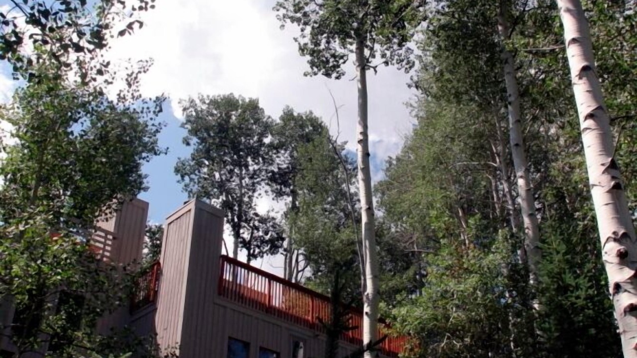 Photo of Others in Snowmass Village
