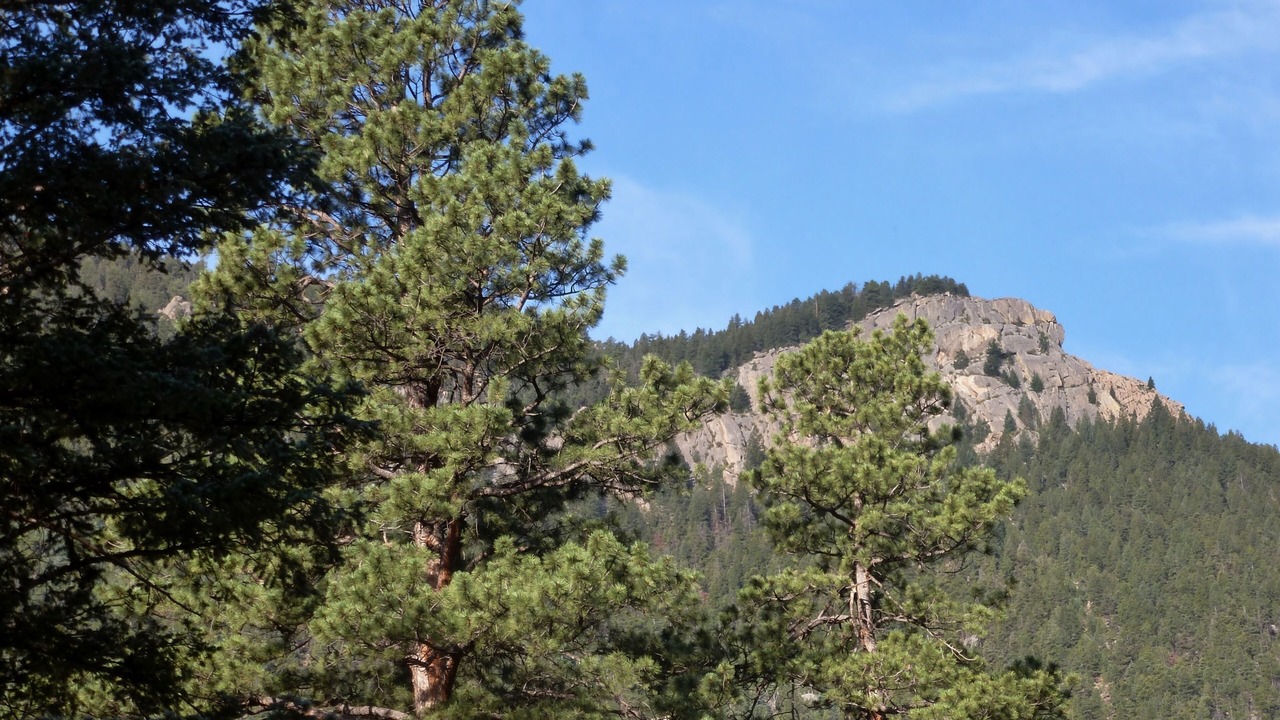Photo of Others in Cascade