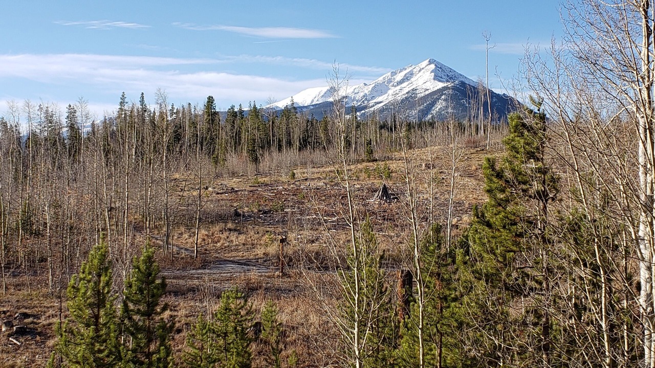 Photo of Outdoor in Wildernest