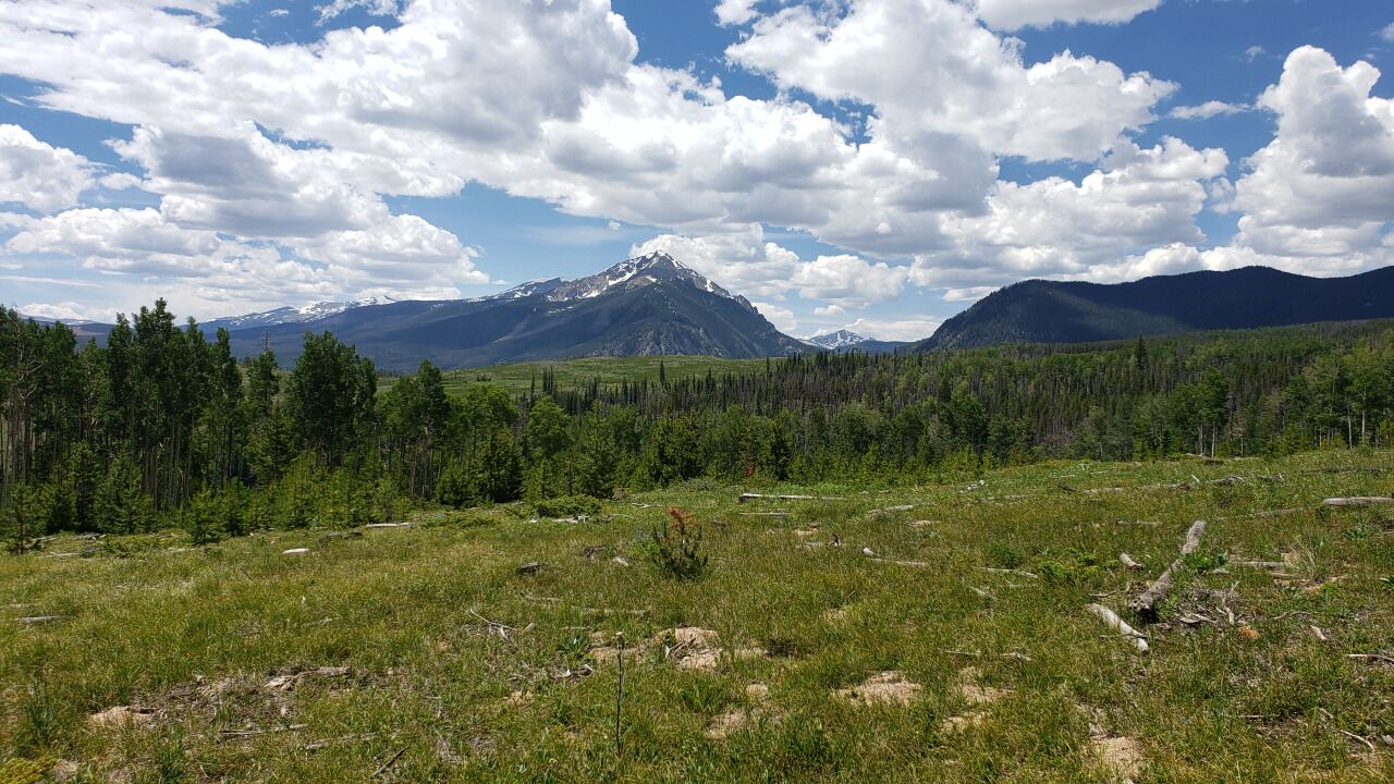 Photo of Outdoor in Wildernest