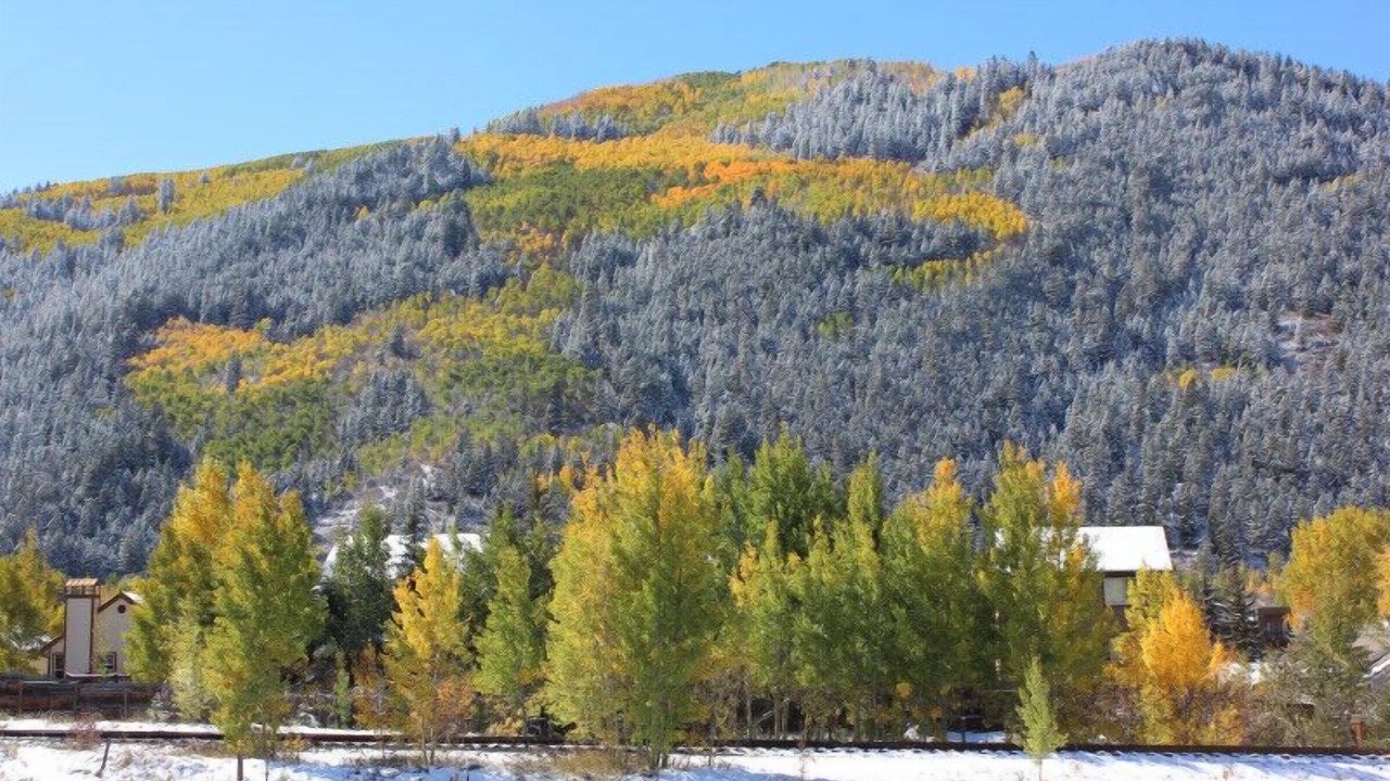 Photo of Others in Eagle-Vail