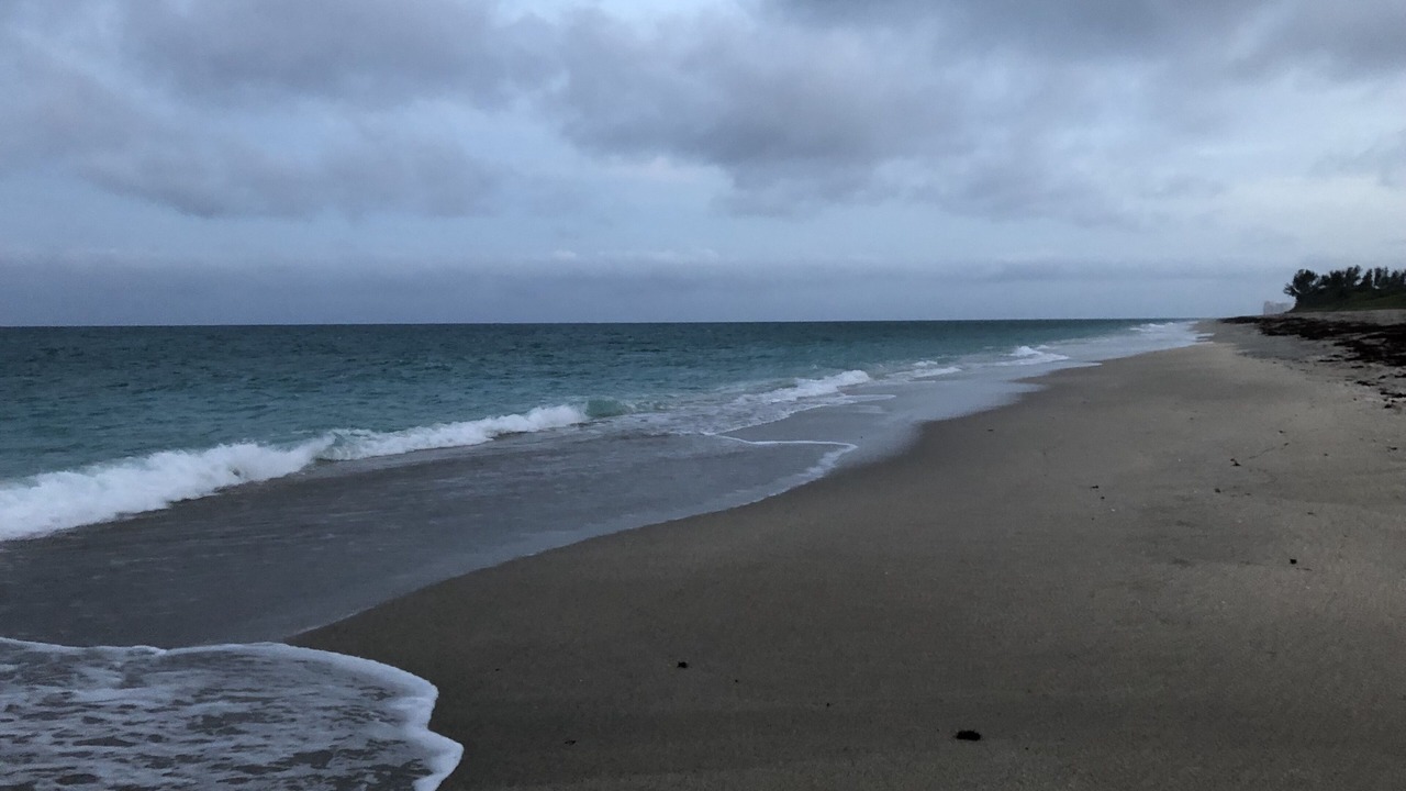 Photo of Others in Juno Beach