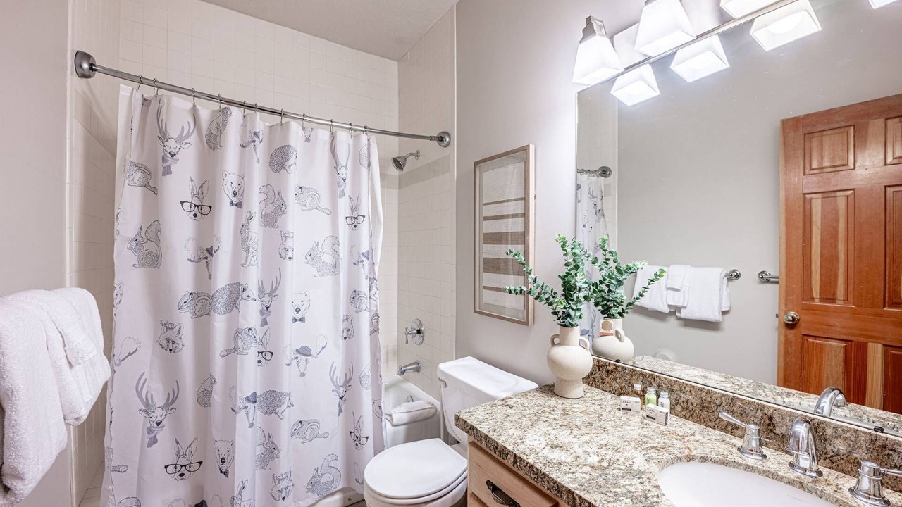 Photo of Bathroom in North Park City