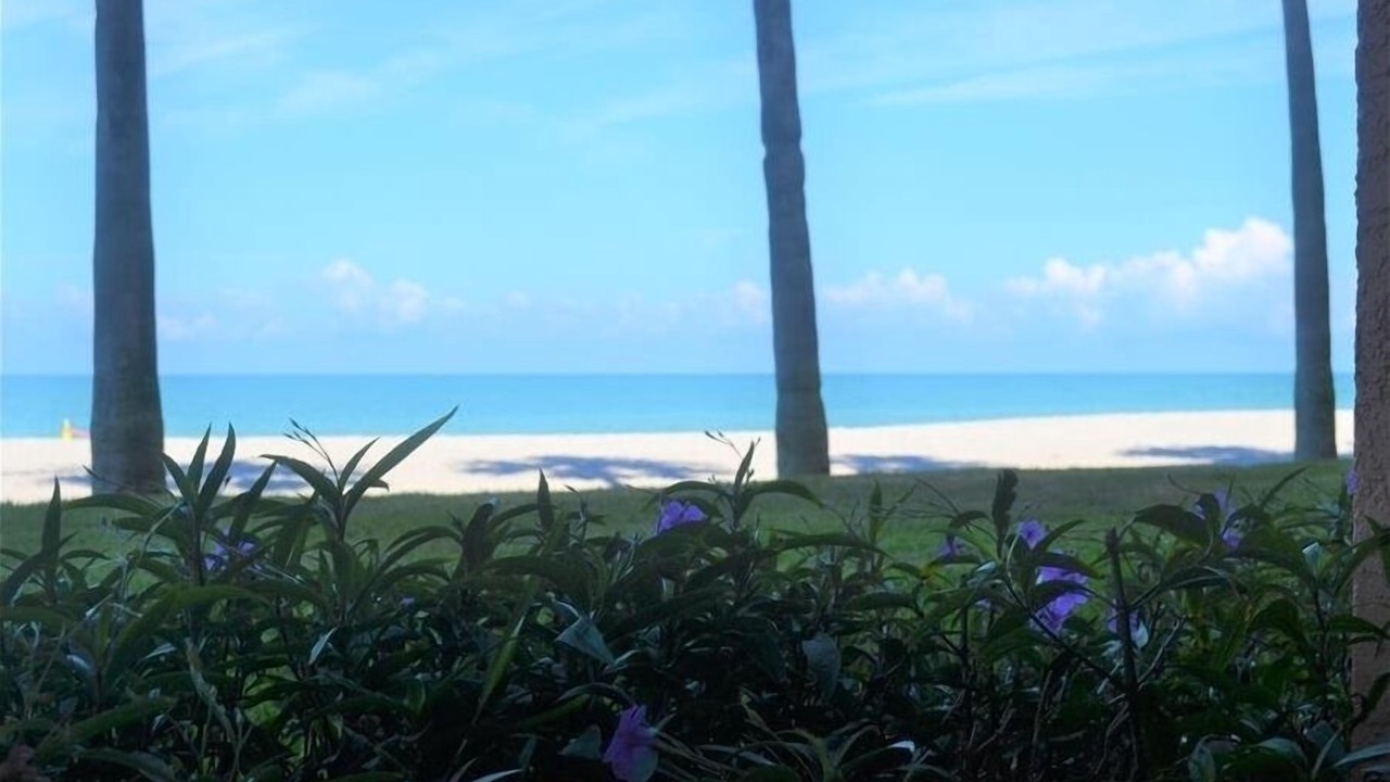 Photo of Others in Longboat Key