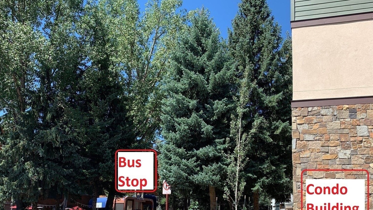Photo of Others in Vail