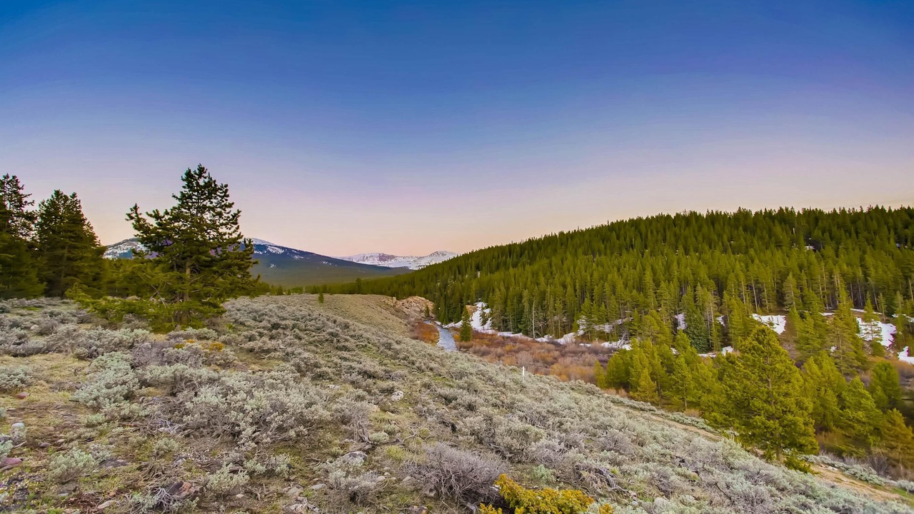 Photo of Outdoor in Leadville