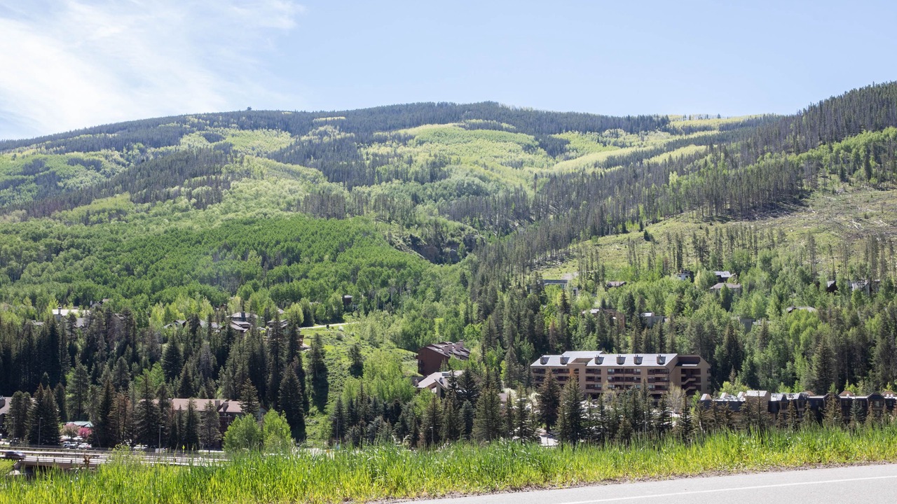 Photo of Others in Vail