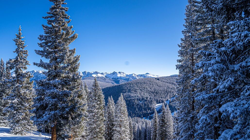 Photo of Others in Vail