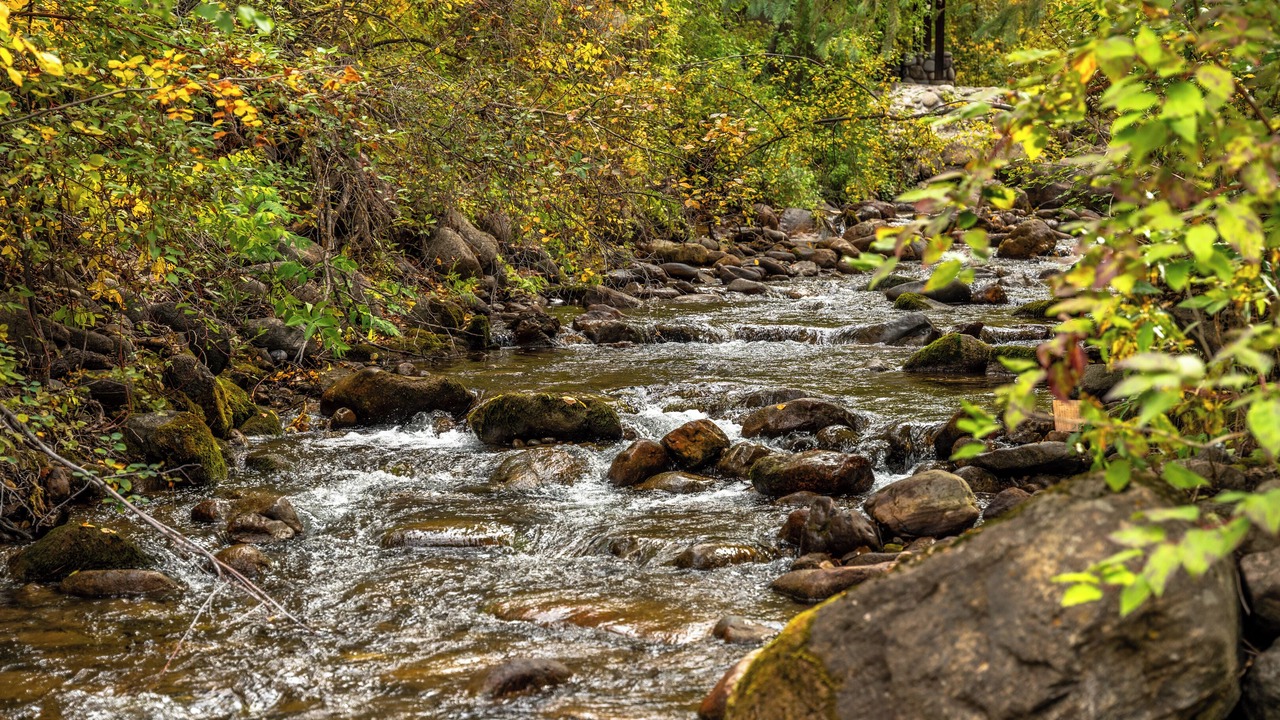 Photo of Others in Glenwood Springs