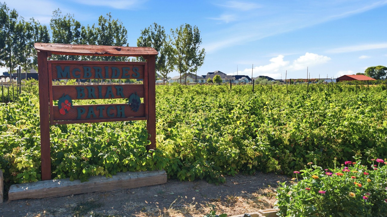 Photo of Outdoor in Spanish Fork