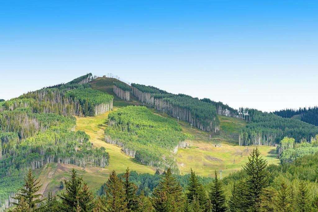 Photo of Others in Vail